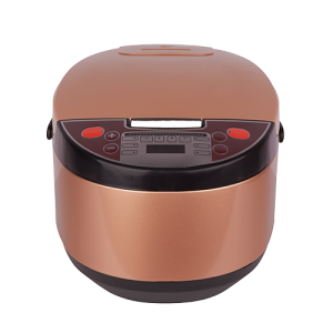 Multi Cooker