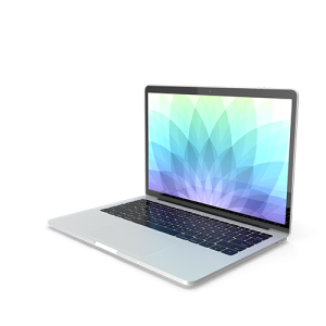 Generic Laptop