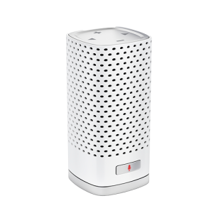 Smart Speaker